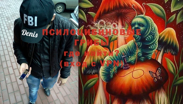 соль ск Карталы