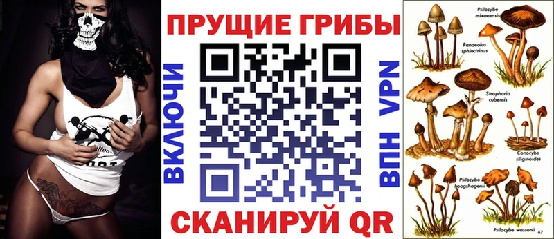Купить  Порхов  Галлюциногенные грибы прущие грибы 